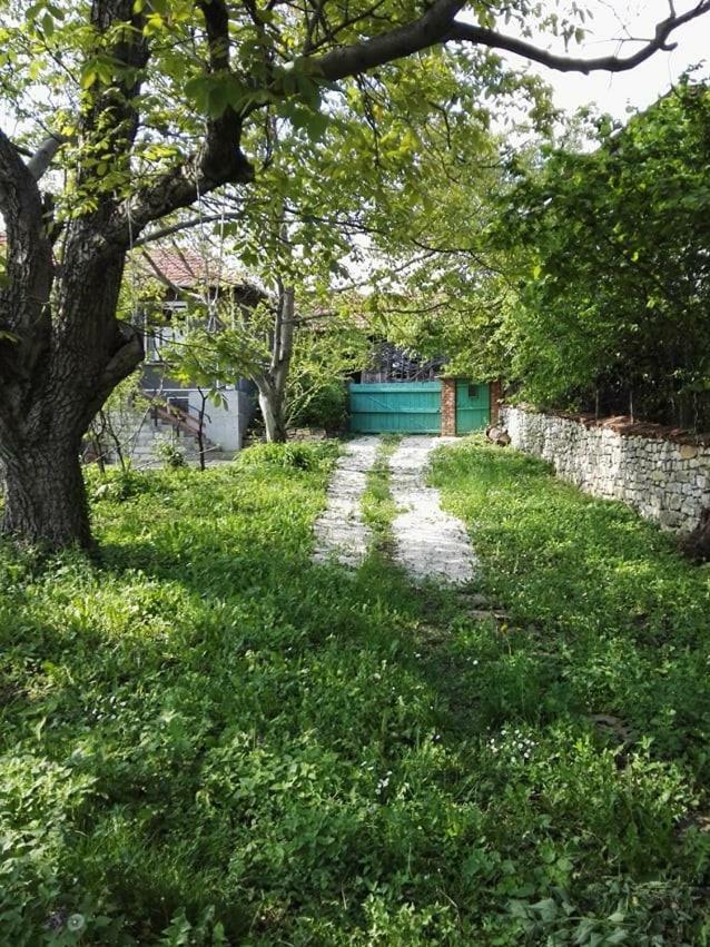 Beefree Villa Gorsko Slivovo Ngoại thất bức ảnh