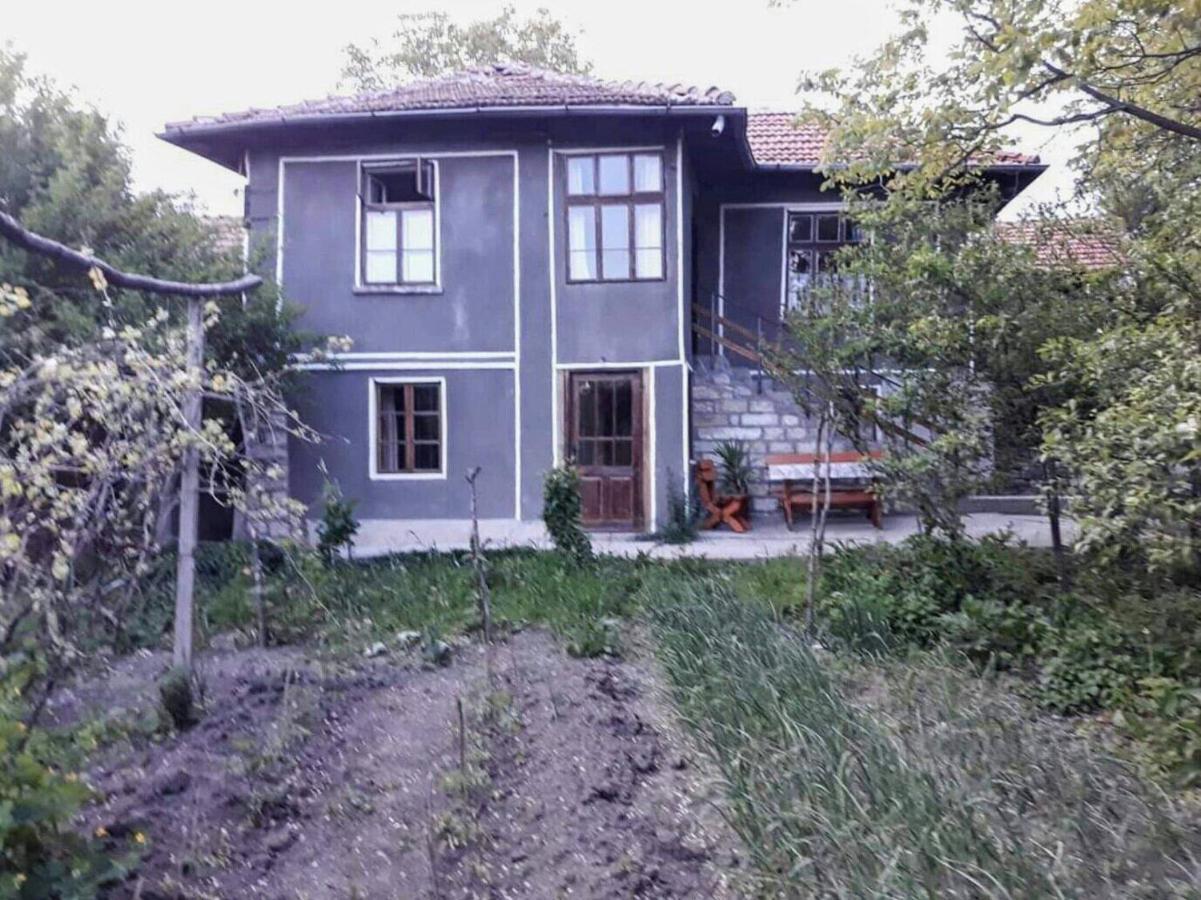 Beefree Villa Gorsko Slivovo Ngoại thất bức ảnh